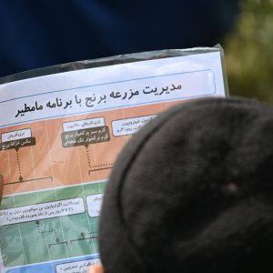 کارگاه تخصصی «مدیریت آفات، بیماری‌ها و علف‌های هرز برنج»