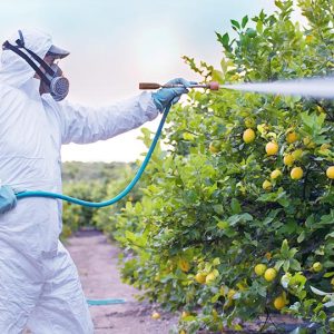 قارچ کش ها و انواع آن