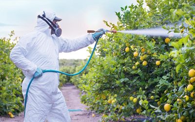 قارچ کش ها و انواع آن