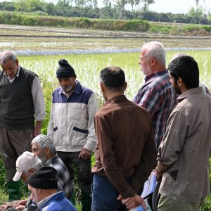 کارگاه آموزشی تخصصی  (4)