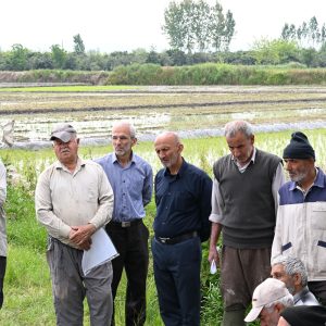 کارگاه آموزشی تخصصی  (6)